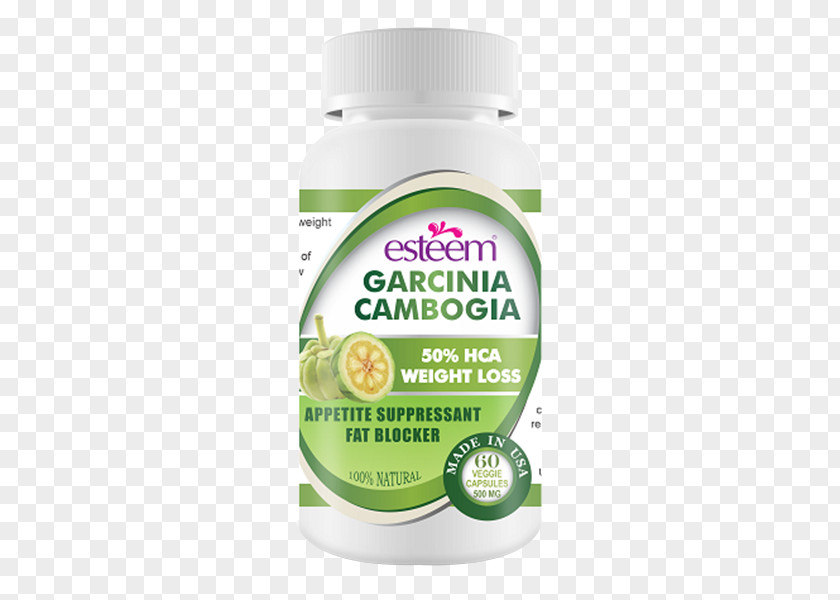 Garcinia Cambogia Dietary Supplement Gummi-gutta Raspberry Ketone Hydroxycitric Acid Weight Loss PNG