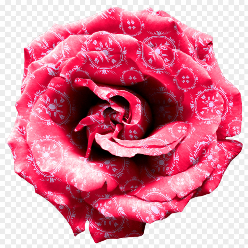 Pink Rose Desktop Wallpaper Clip Art PNG