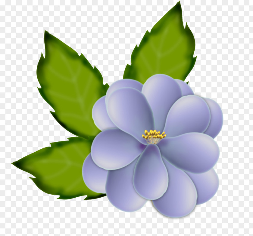 Flower Petal Painting Clip Art PNG