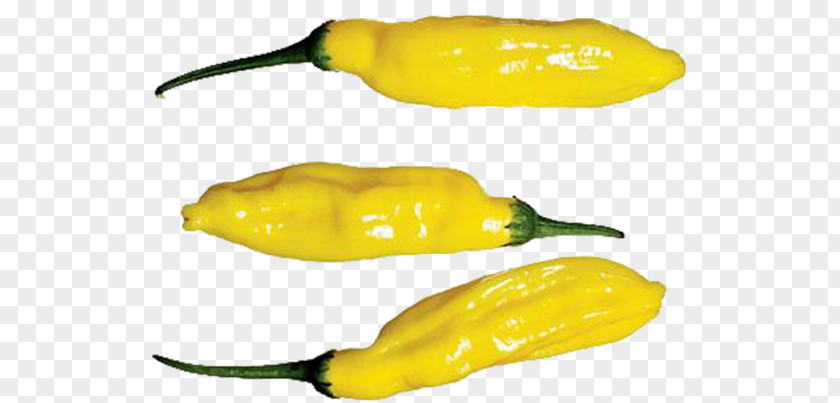 Lemon Orange Habanero Serrano Pepper Jalapeño Pasilla Yellow PNG