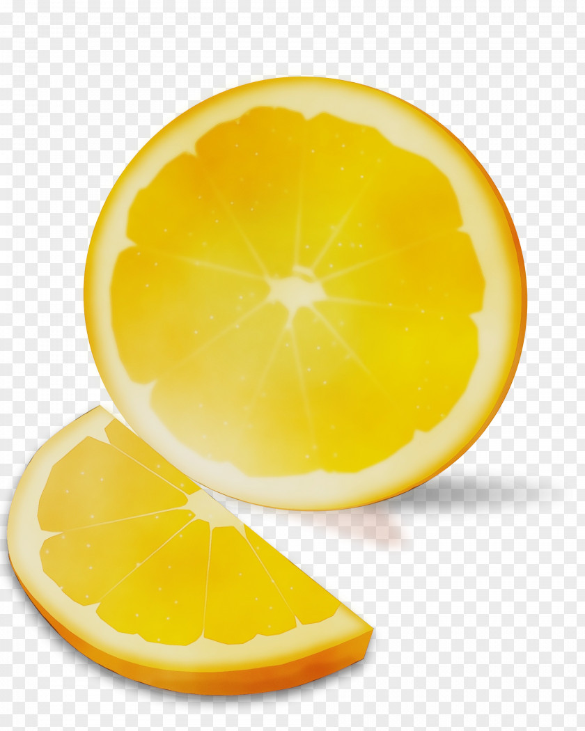 Mandarin Orange Bitter Cartoon Lemon PNG