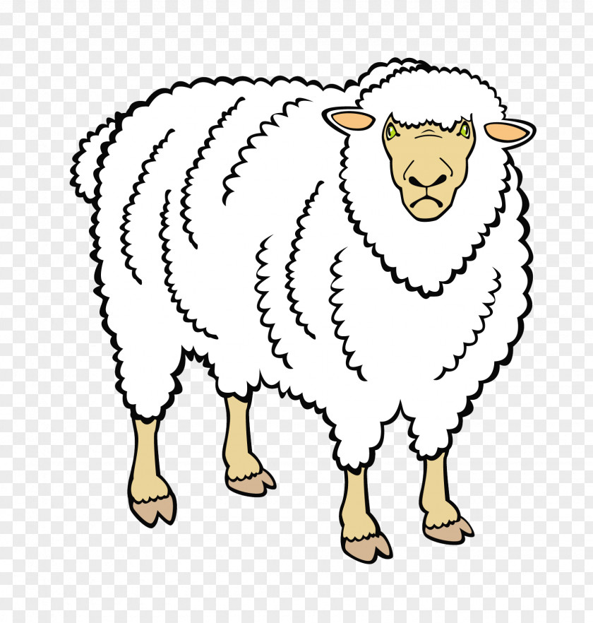 Mutton Sheep Goat Cattle Domestic Duck PNG