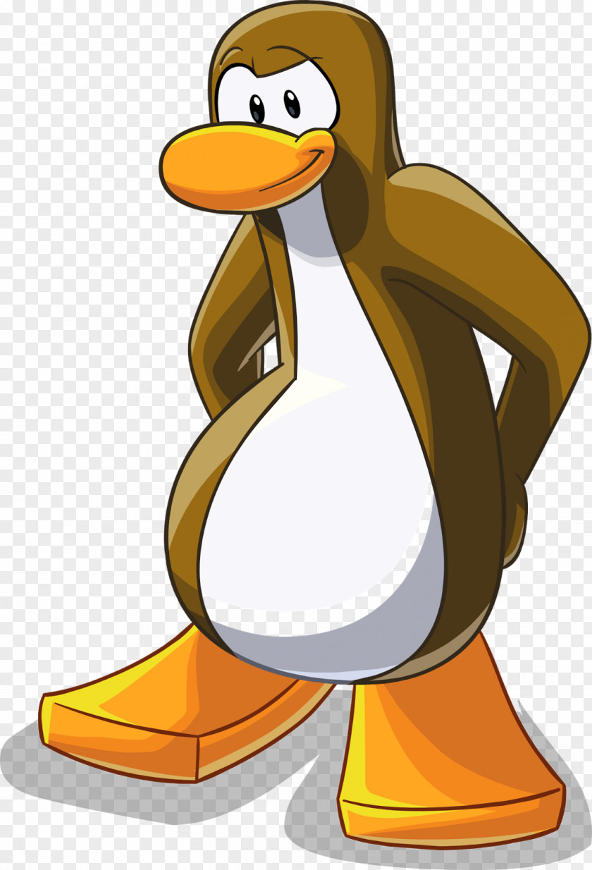 Penguin Club Halloween Flightless Bird PNG