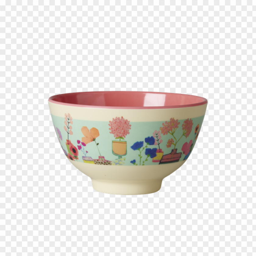 Rice Bowl Melamine Spoon Plastic Plate PNG