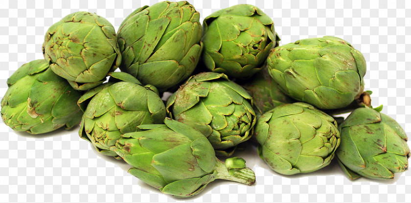 Artichokes File Artichoke Vegetable PNG