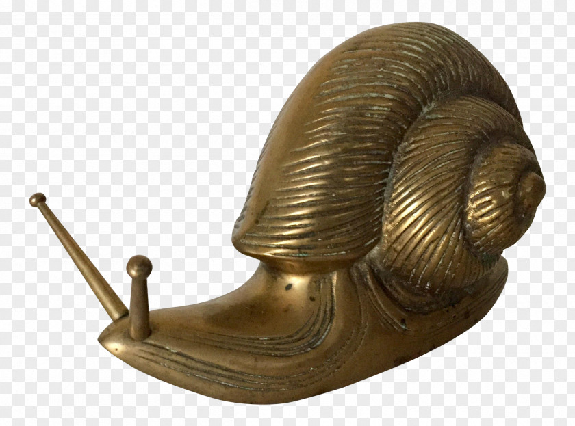 Brass Snail Bronze PNG