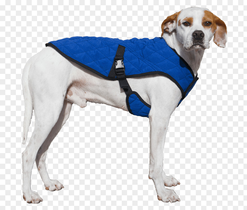 Dog Jacket Waistcoat Overcoat PNG