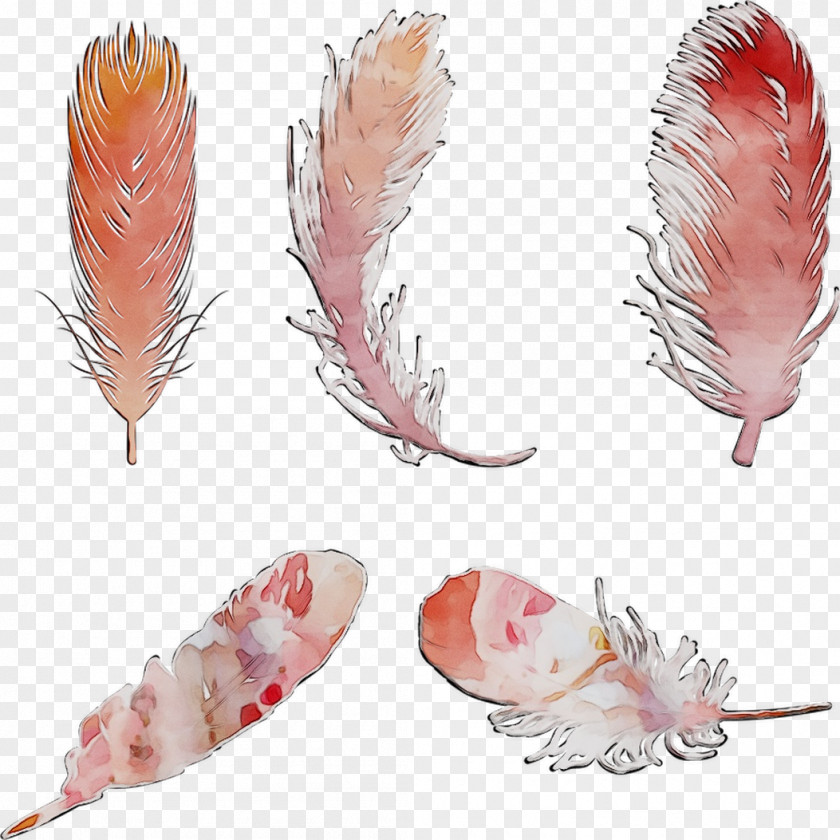 Feather Seafood PNG