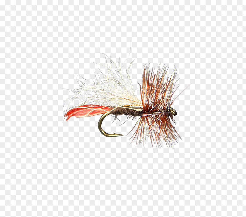 Fly Tying Artificial Northern Pike Fishing Royal Wulff PNG