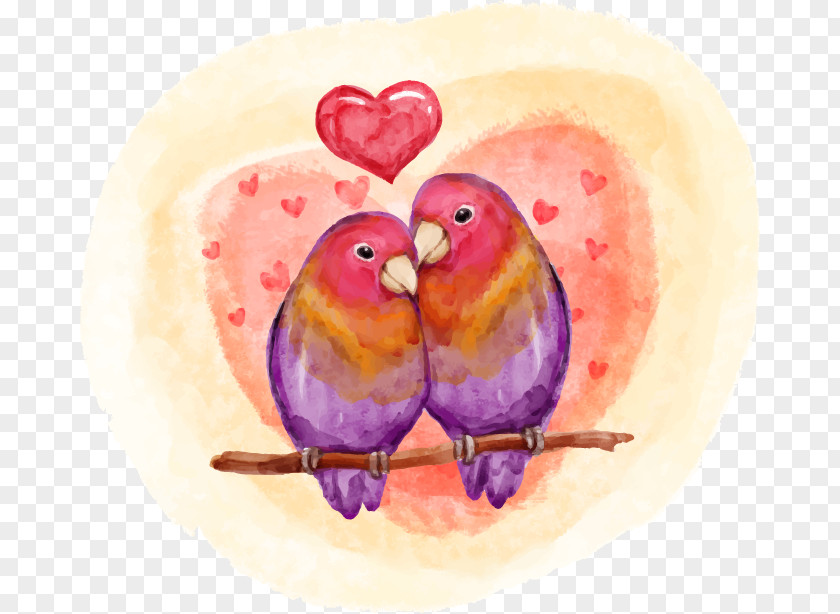 Love Birds Hand-painted Watercolor Lovebird Valentines Day PNG