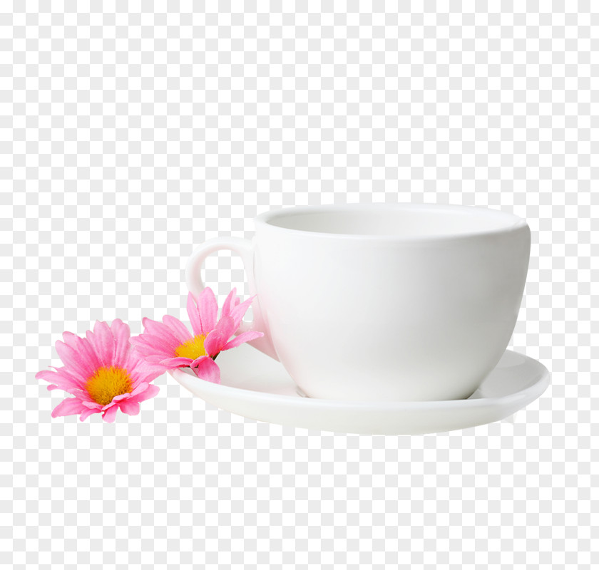 Mug Coffee Cup Porcelain PNG