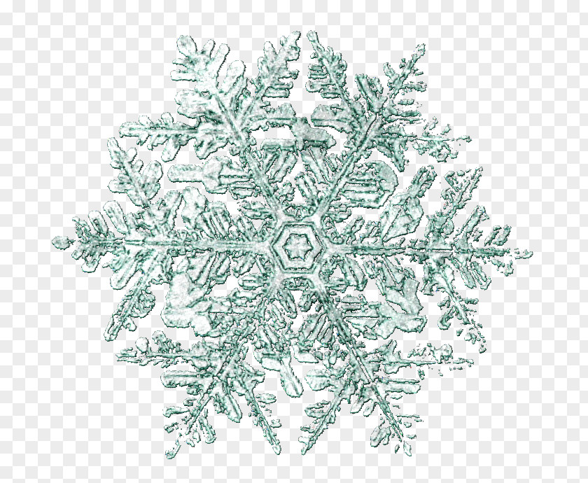 Snowflake Blog Clip Art PNG
