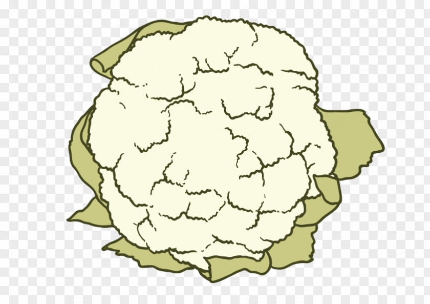 Cauliflower Flower Text Clip Art PNG