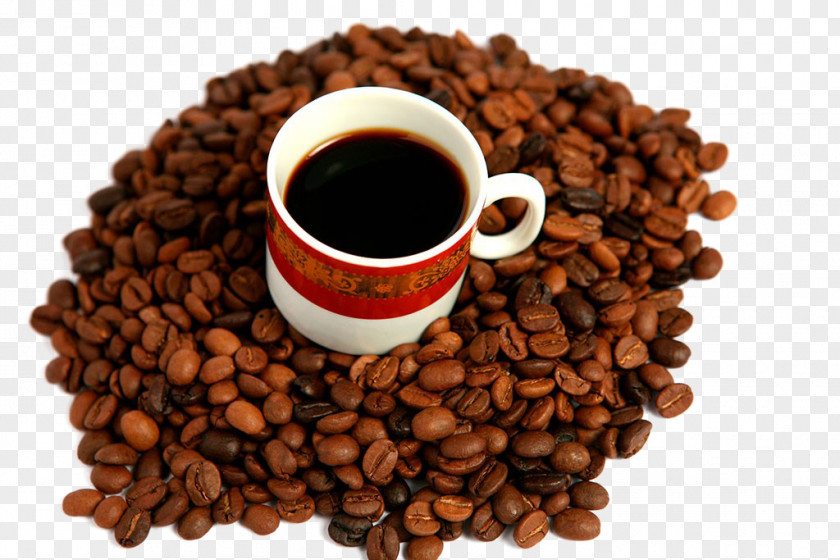 Coffee Beans Jamaican Blue Mountain Espresso Tea Kona PNG