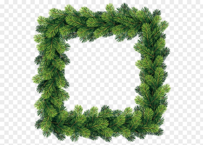 Tree Pine Borders And Frames Clip Art PNG