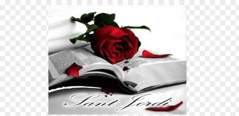 Boletus Edulis Saint George's Day Valentine's Rose Love Wish PNG