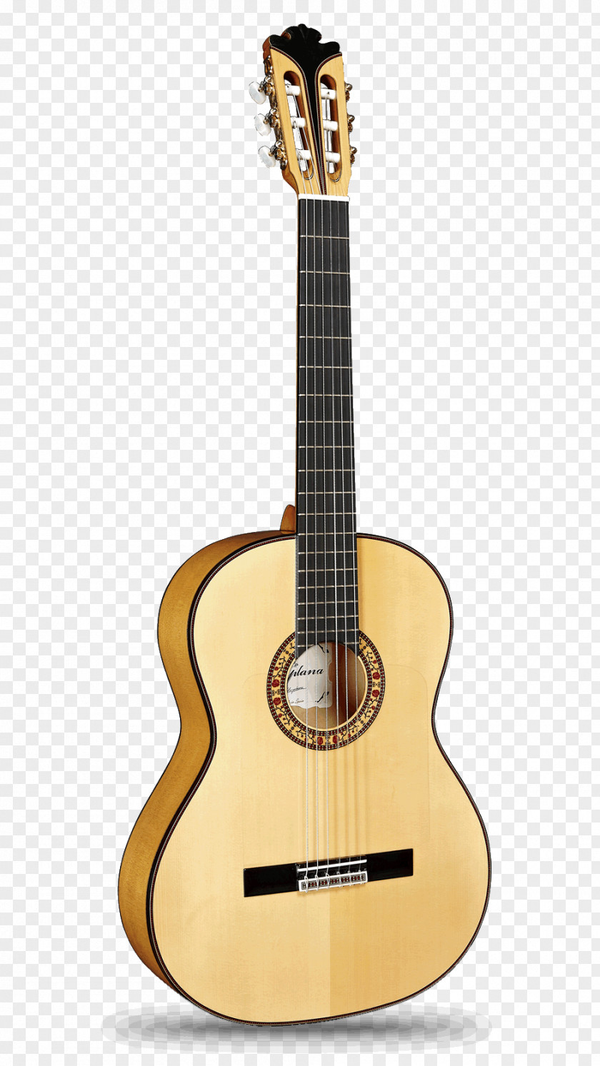 Flamenco C. F. Martin & Company Acoustic Guitar Acoustic-electric Musical Instruments PNG