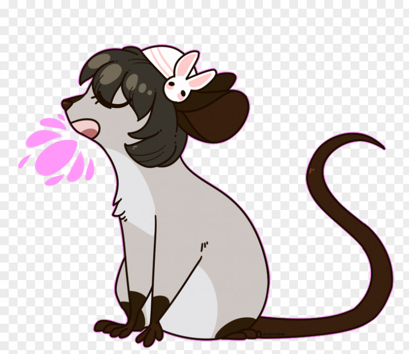 Rat Whiskers Mouse Cat Canidae PNG