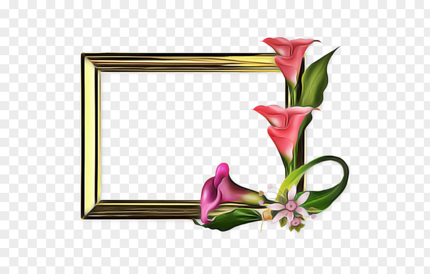 Vase Tulip Background Flower Frame PNG