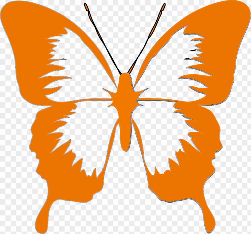 Butterflies Silhouette Cartoon Drawing PNG