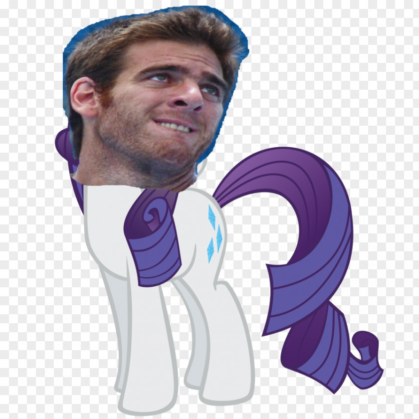 Del Potro Rarity My Little Pony: Friendship Is Magic Rainbow Dash Derpy Hooves PNG