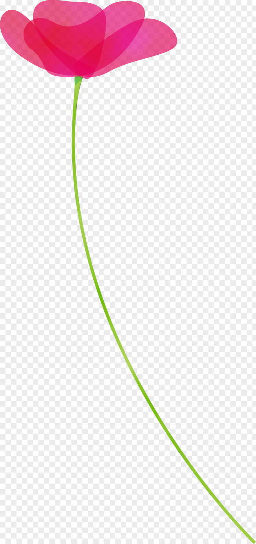 Green Line Leaf Plant PNG