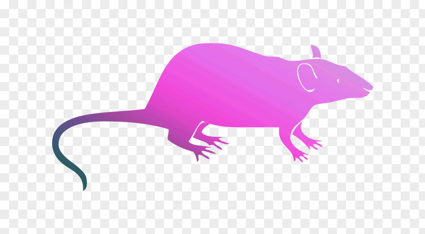 Illustration Clip Art Rodent Vector Graphics PNG