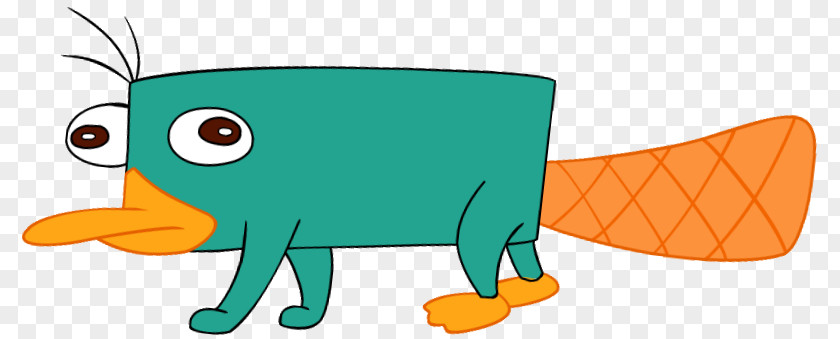 Perry The Platypus Phineas Flynn Ferb Fletcher PNG