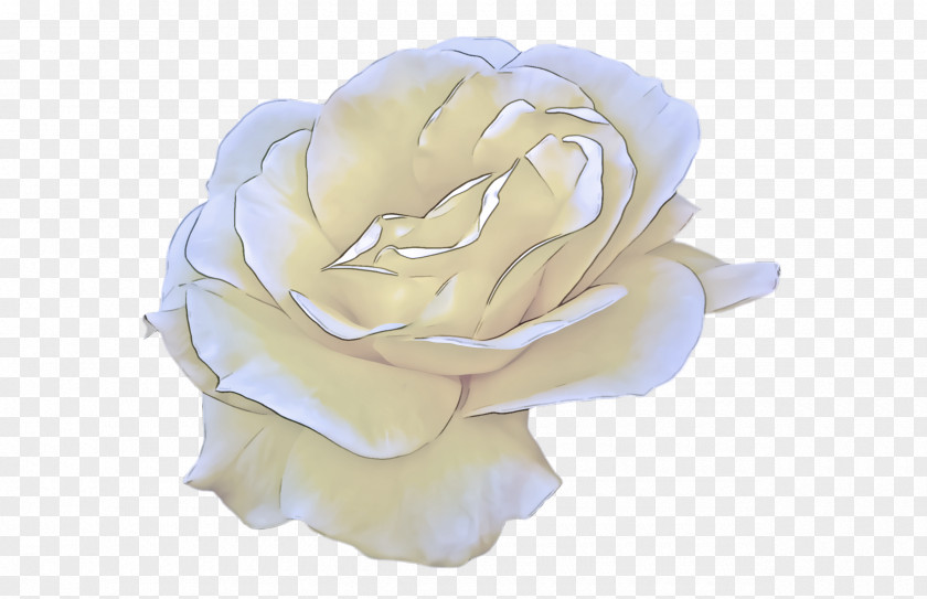 Plant Pink Garden Roses PNG