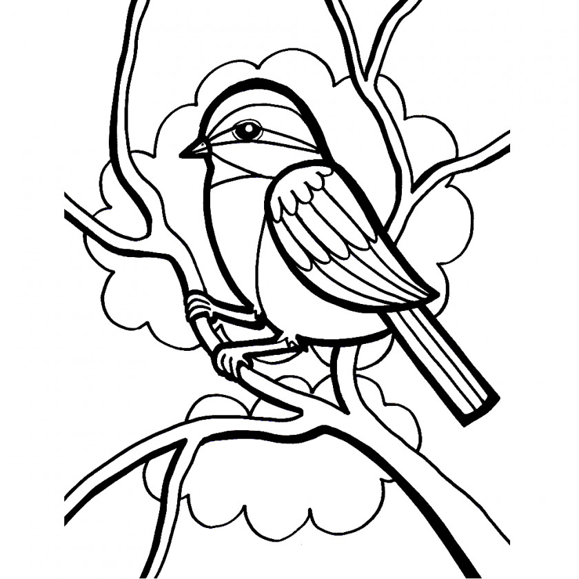 Sparrow Bird Parrot Owl Coloring Book Penguin PNG