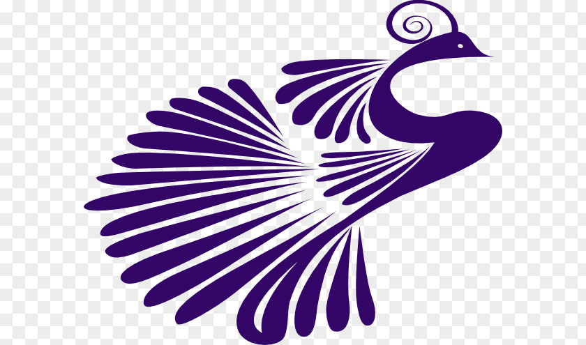 Vector Peacock Purple Innovation Pavo Clip Art PNG