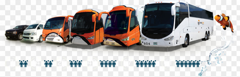 Bus Transport TOURINGCOACH CDMX Passenger PNG