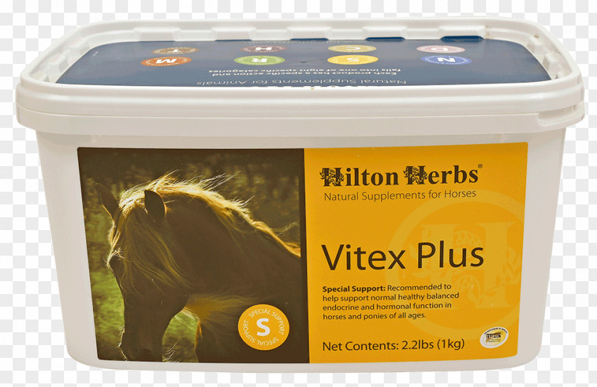 Endocrine System Horse Itch Dietary Supplement Herb Health PNG