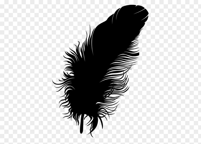 Feather Font Black M PNG