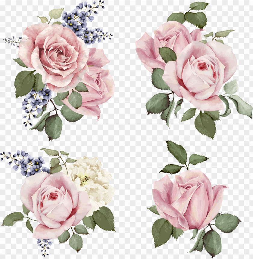 Rose Stock Illustration Flower PNG illustration Illustration, Hand-painted roses, four pink rose clusters clipart PNG