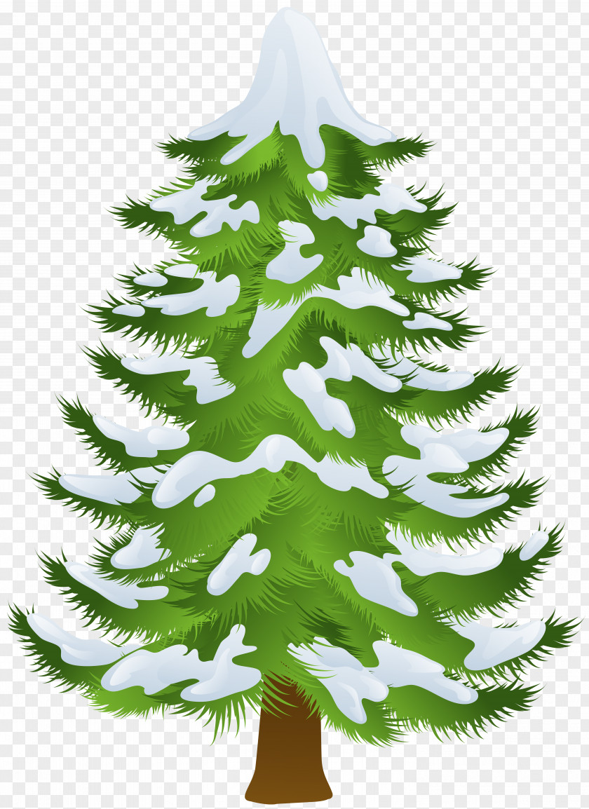 Winter Pine Tree Transparent Clip Art PNG