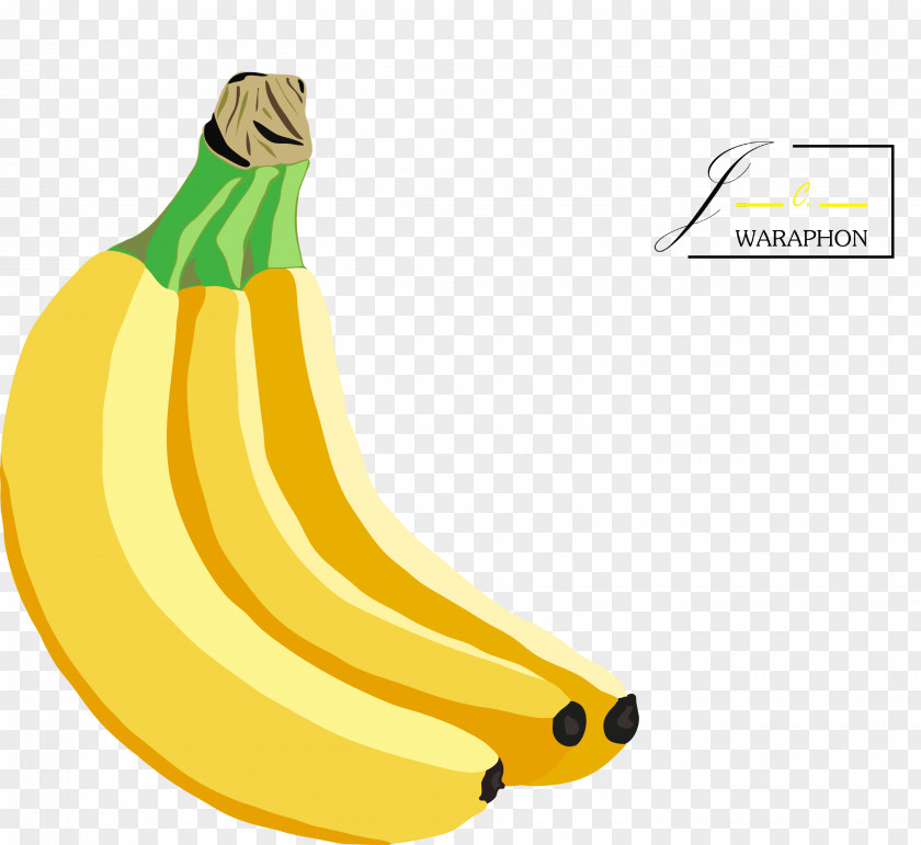 Banana Cartoon Banaani Clip Art Illustrator PNG