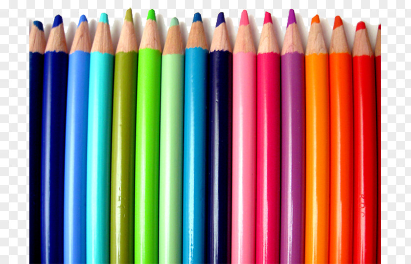 Colored Pencils Understanding Color Pencil Bic PNG