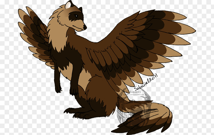 Ferret Bird Of Prey Chicken Beak Animal PNG