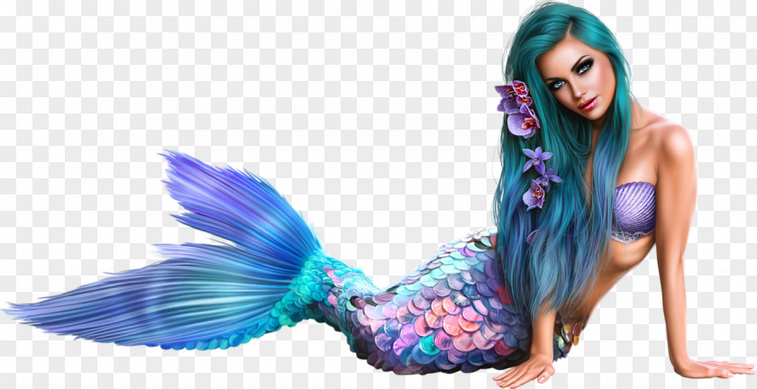 Mermaid Ariel Siren Image PNG
