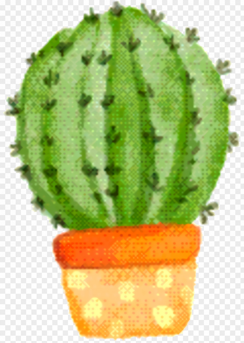 Cucumber Houseplant Cactus Cartoon PNG