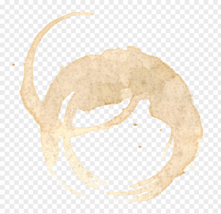 High Quality Coffee Stain Cliparts For Free! White Cup PNG