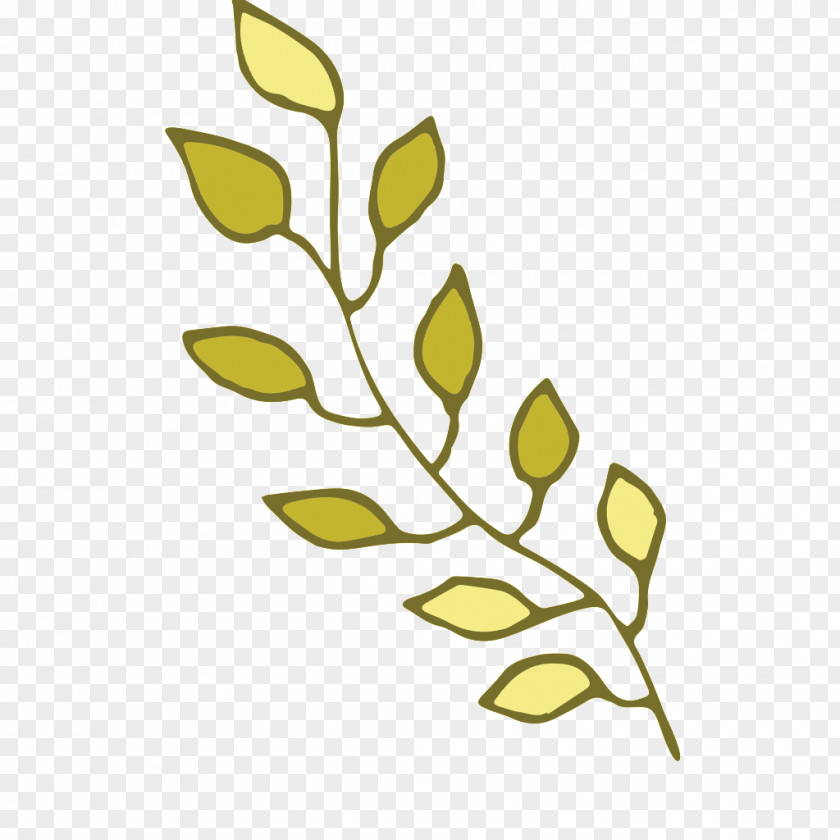 Lines Of Plants Green Leaves Principles Plant Breeding Line PNG
