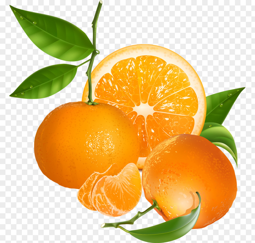 Orange Tangerine PNG