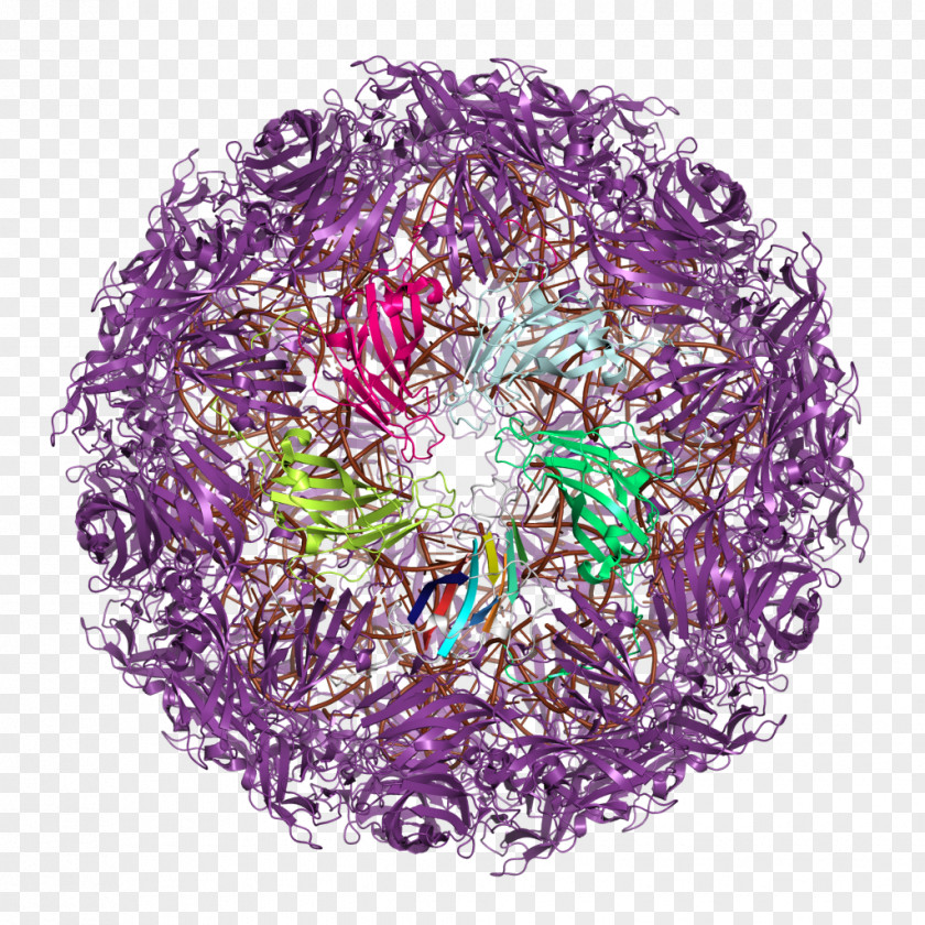 Virus Capsid Conformational Change Purple Circle M RV & Camping Resort PNG