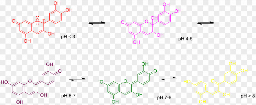 Anthocyanin Anthocyanidin PH Indicator Flavonoid PNG