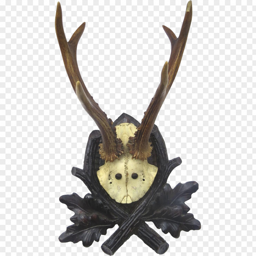 Antlers Antler PNG