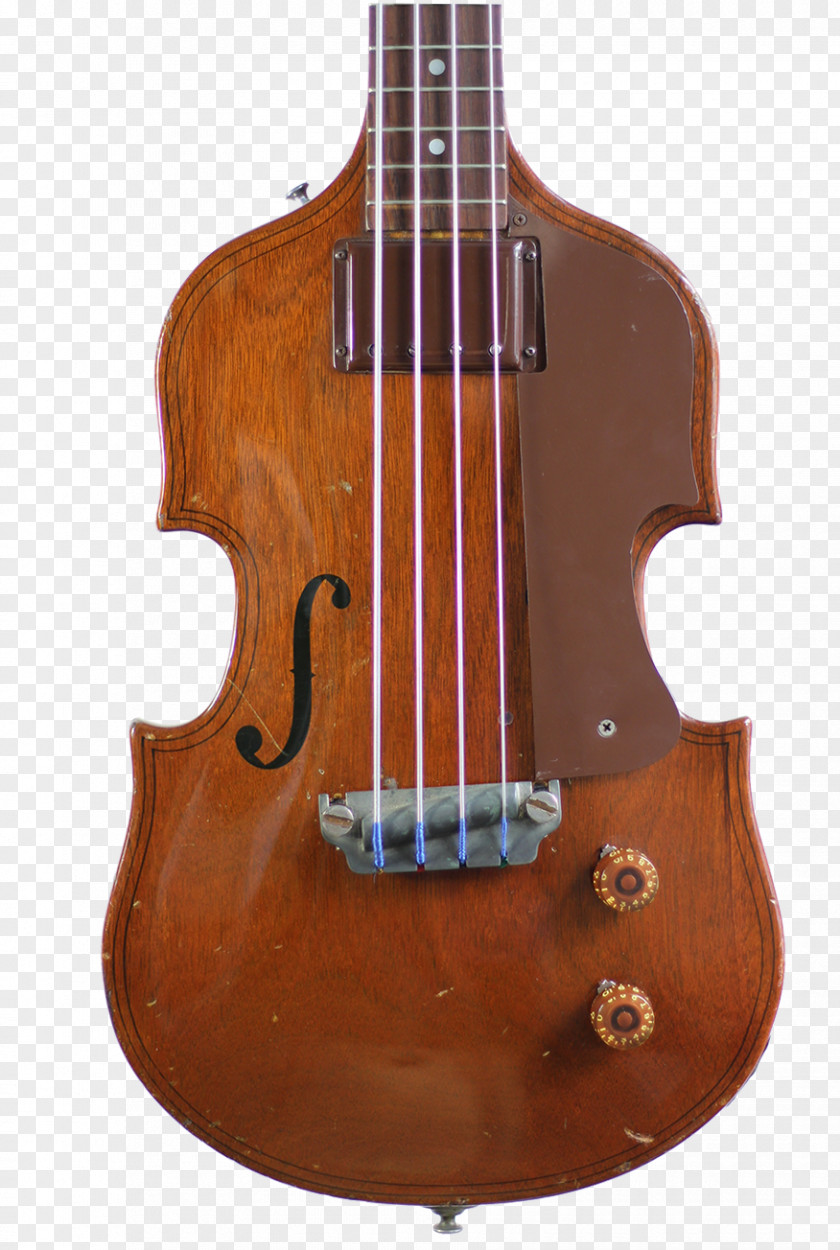 Bass Guitar String Instruments Double Musical PNG