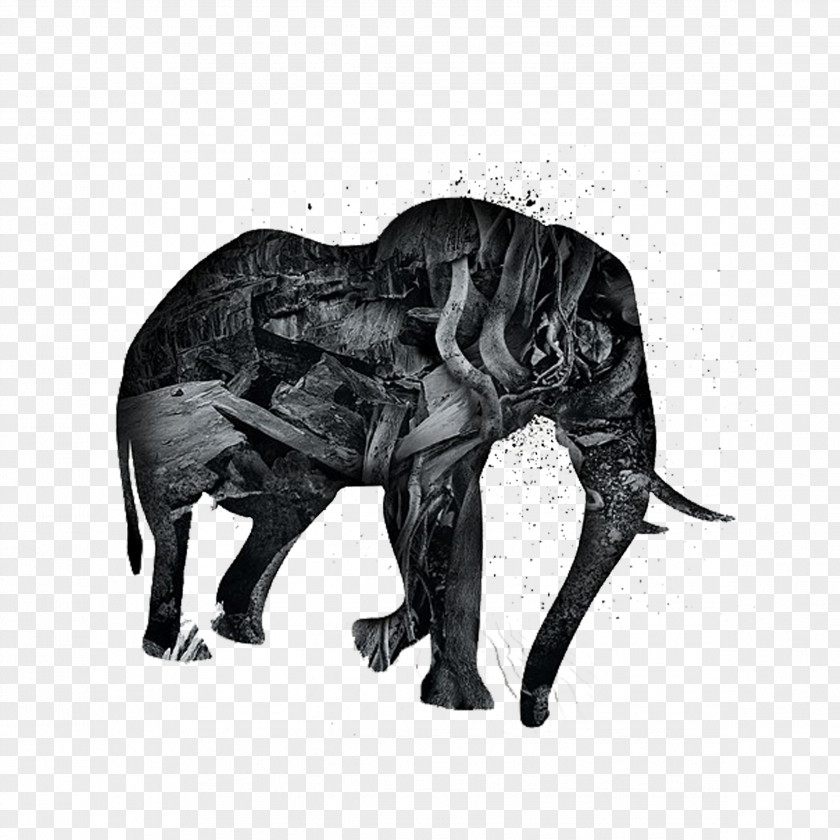 Elephant Horse Poster Animal Illustration PNG