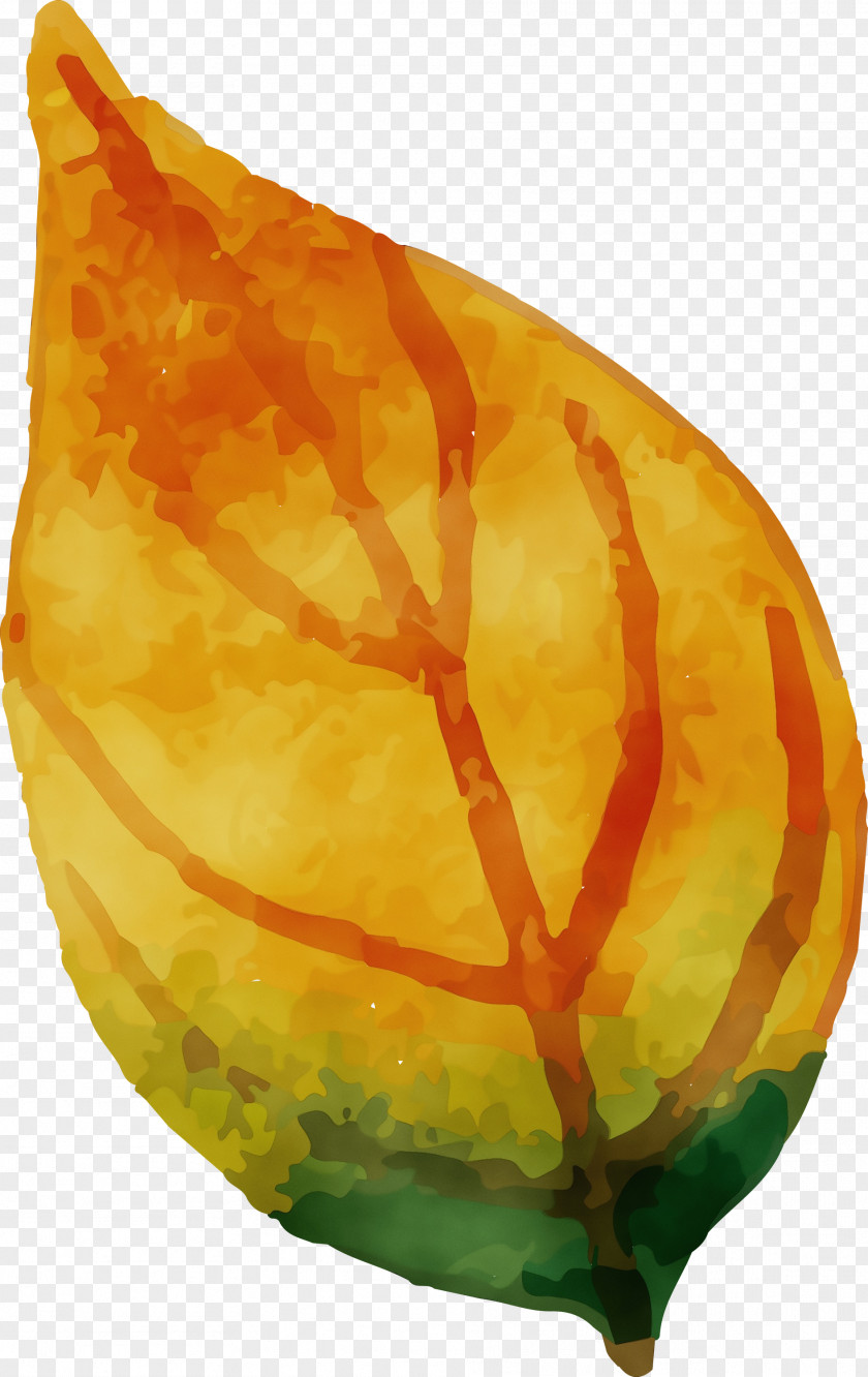 Gourd PNG